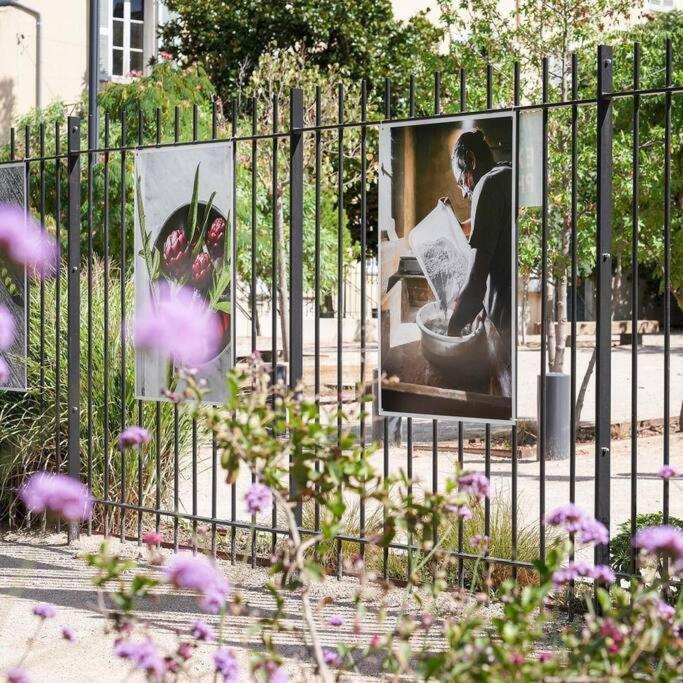Taote - Studio Avec Terrasse Au Coeur De Ville Brignoles Buitenkant foto